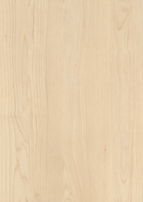 Euroform Laminat EGGER, Mesteacăn Nisip, H1732 ST9 | Holver